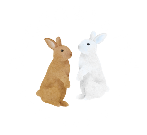 Choco & Latte, Inc.